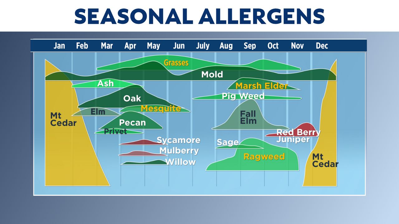 seasonal allergies