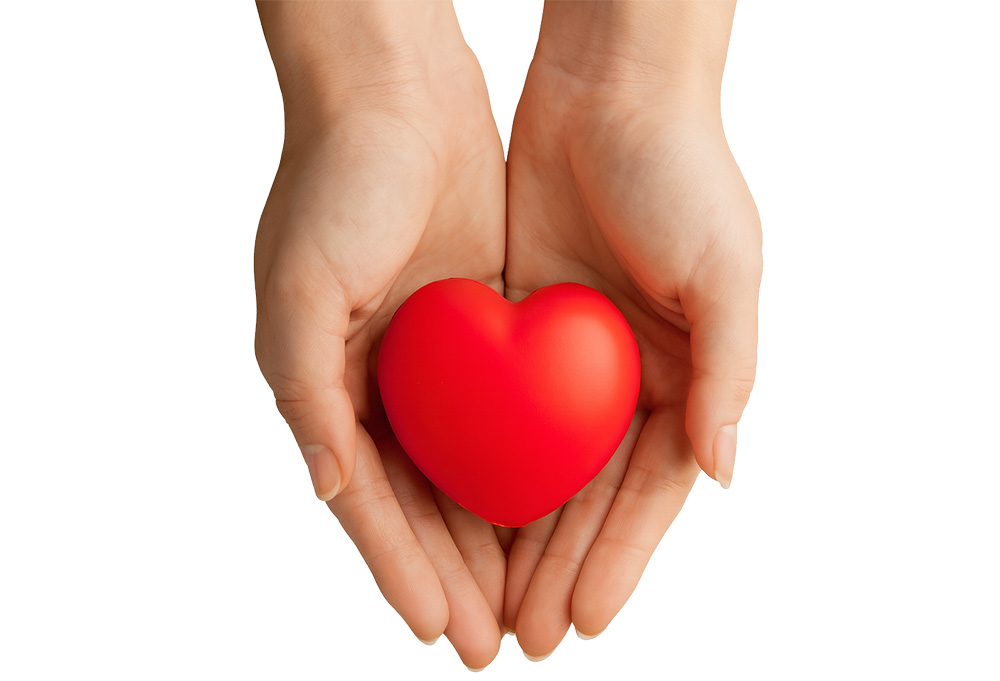 illustration of a pair of hands holding a heart shape.