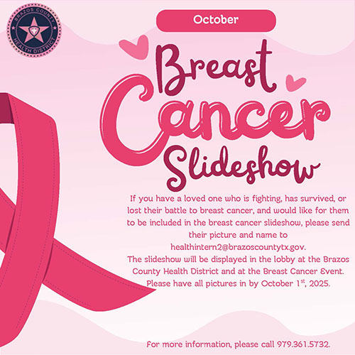 breast cancer slideshow memorial promo image